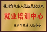 佳滿假肢——株洲市殘疾人假肢裝配技術就業培訓中心