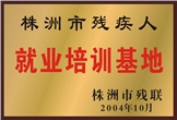 佳滿假肢——株洲市殘疾人就業培訓基地